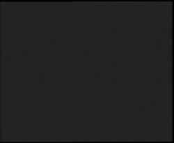 Nástup na běžecké tratě