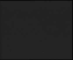 Nástup na běžecké tratě