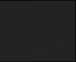 Nástup na běžecké tratě