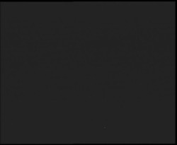 Nástup na běžecké tratě