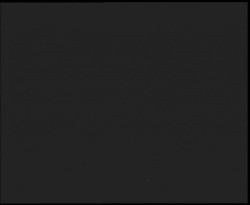 Nástup na běžecké tratě