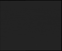 Nástup na běžecké tratě