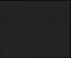 Nástup na běžecké tratě