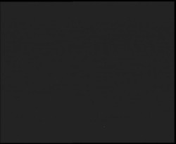 Nástup na běžecké tratě