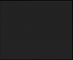 Nástup na běžecké tratě