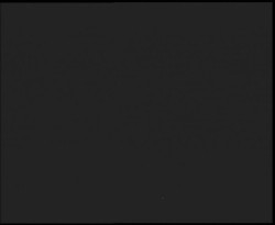 Nástup na běžecké tratě