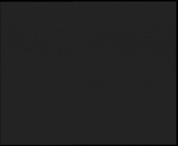 Nástup na běžecké tratě