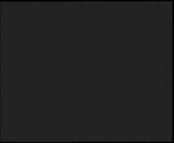 Nástup na běžecké tratě