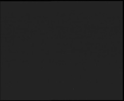 Nástup na běžecké tratě