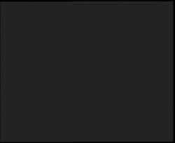 Nástup na běžecké tratě