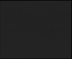 Nástup na běžecké tratě