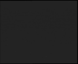 Nástup na běžecké tratě