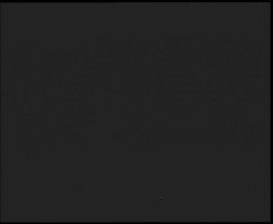 Nástup na běžecké tratě