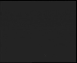 Nástup na běžecké tratě