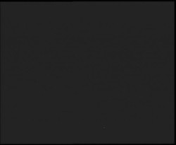 Nástup na běžecké tratě