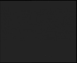 Nástup na běžecké tratě