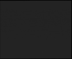 Nástup na běžecké tratě