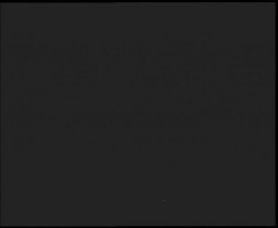 Nástup na běžecké tratě