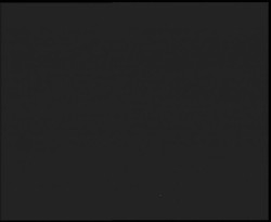 Nástup na běžecké tratě