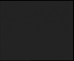 Nástup na běžecké tratě