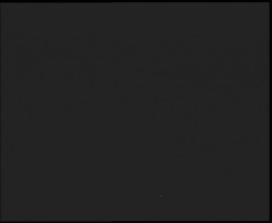 Nástup na běžecké tratě