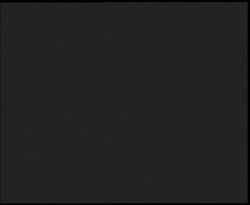 Nástup na běžecké tratě