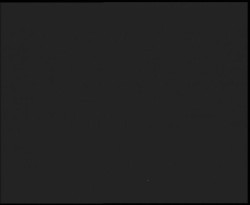 Nástup na běžecké tratě