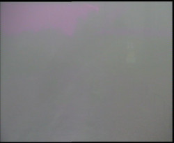 Nástup na běžecké tratě