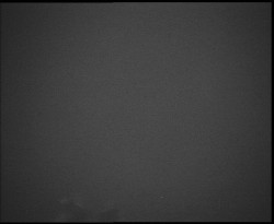 Nástup na běžecké tratě