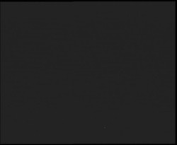 Nástup na běžecké tratě