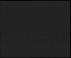 Nástup na běžecké tratě