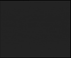 Nástup na běžecké tratě