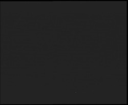 Nástup na běžecké tratě