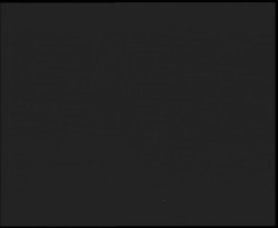 Nástup na běžecké tratě