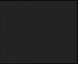 Nástup na běžecké tratě