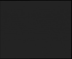 Nástup na běžecké tratě