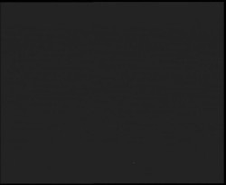 Nástup na běžecké tratě