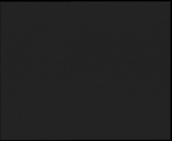 Nástup na běžecké tratě