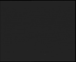 Nástup na běžecké tratě