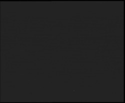 Nástup na běžecké tratě