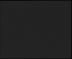 Nástup na běžecké tratě