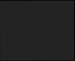 Nástup na běžecké tratě