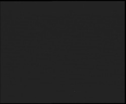 Nástup na běžecké tratě