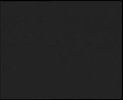 Nástup na běžecké tratě