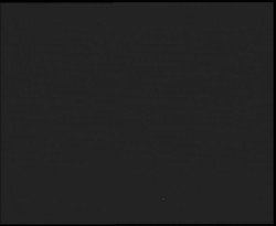 Nástup na běžecké tratě