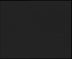 Nástup na běžecké tratě