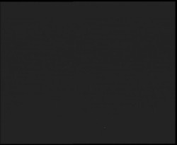 Nástup na běžecké tratě