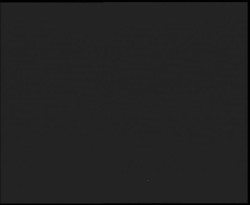 Nástup na běžecké tratě