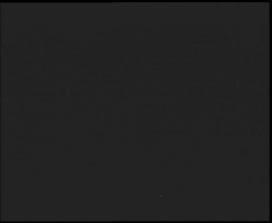 Nástup na běžecké tratě