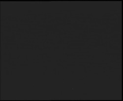 Nástup na běžecké tratě